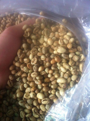 Cà phê nhân Culi  Buôn Ma Thuột( chế biến khô,bắn màu)