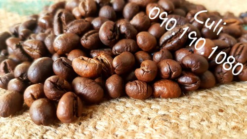 Culi ( Mộc)