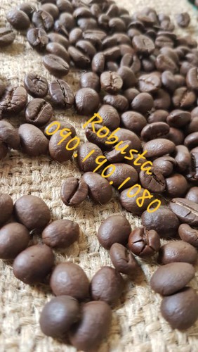 Robusta( mộc)