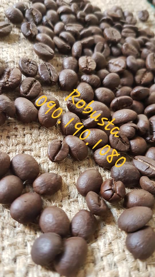 Robusta( mộc)